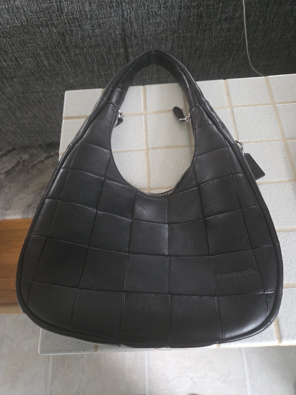 Coach Alter Ego Crescent Bag